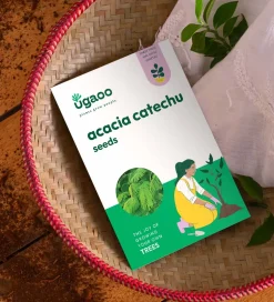 Acacia Catechu Seeds - 100 g