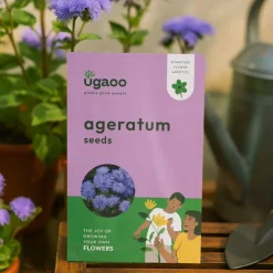 Ageratum Seeds