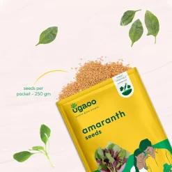 Amaranth Seeds (Chawli Bhaji)