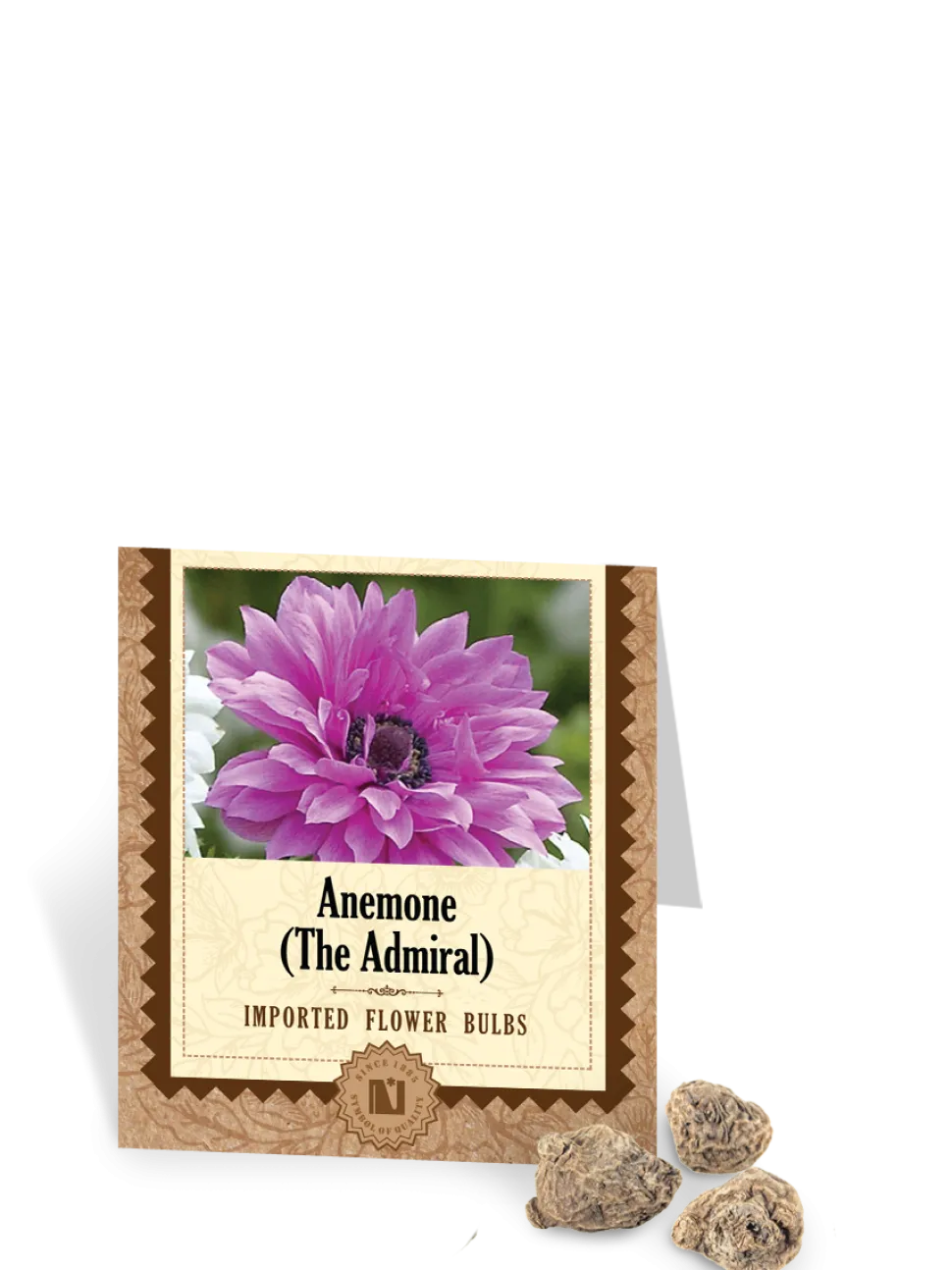 Anemone The Admiral Bulbs