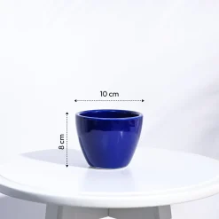 Apple Ceramic Pot (3.8 Inch Diameter)