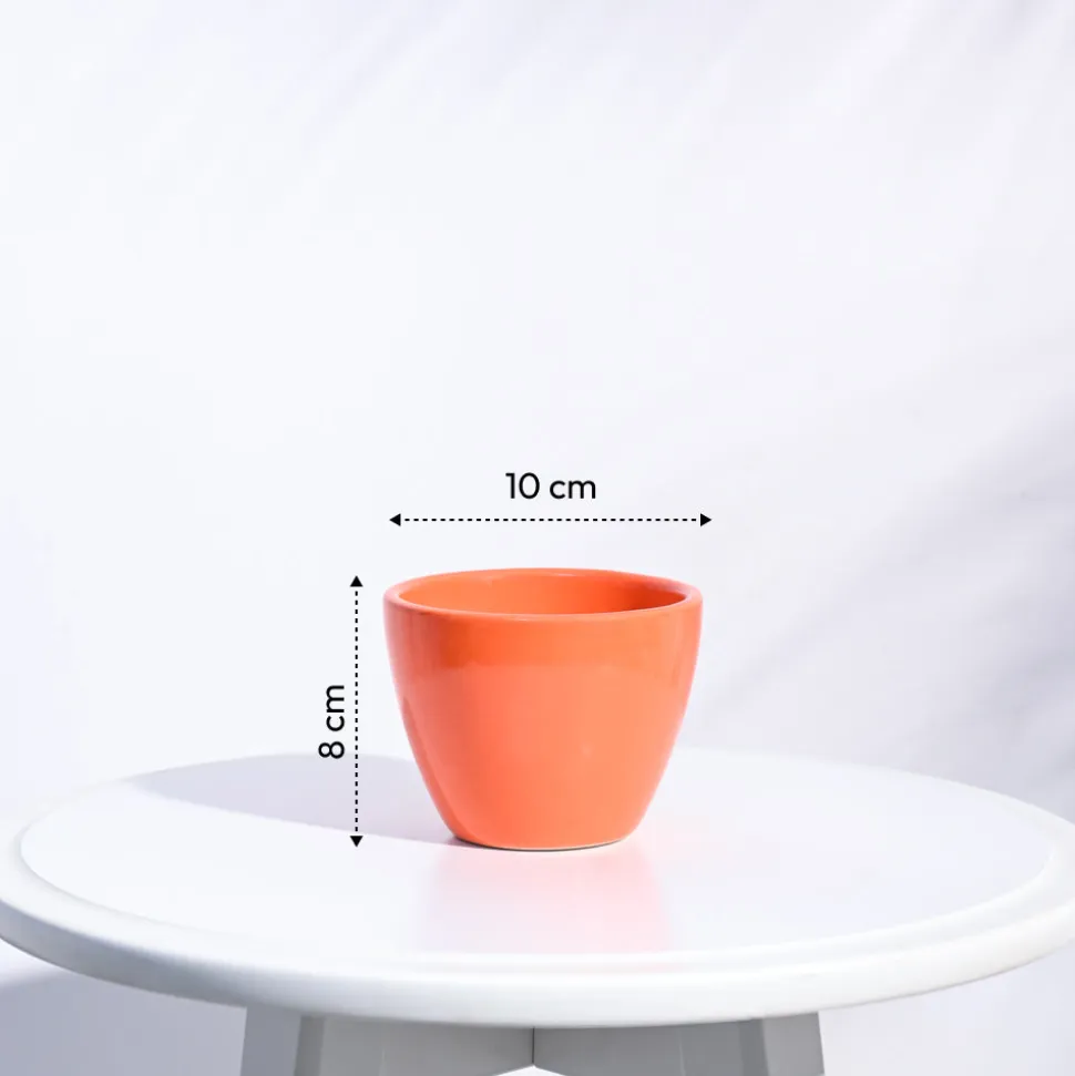 Apple Ceramic Pot (3.8 Inch Diameter)