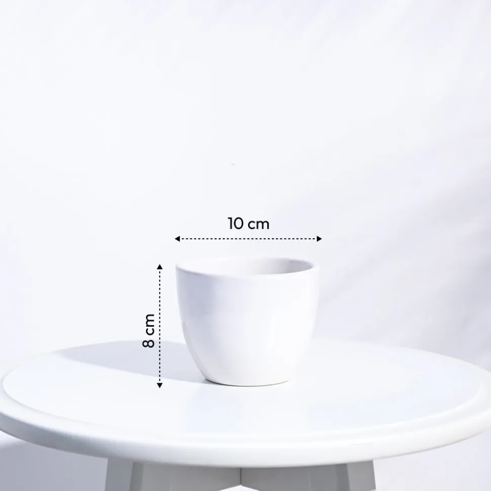 Apple Ceramic Pot (3.8 Inch Diameter)