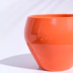 Apple Ceramic Pot (6.6 Inch Diameter)