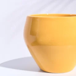 Apple Ceramic Pot (6.6 Inch Diameter)