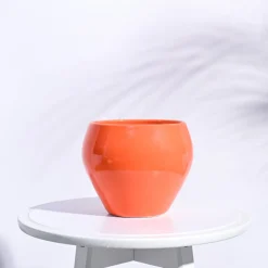 Apple Ceramic Pot (6.6 Inch Diameter)