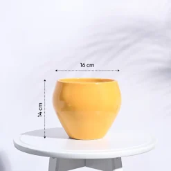 Apple Ceramic Pot (6.6 Inch Diameter)
