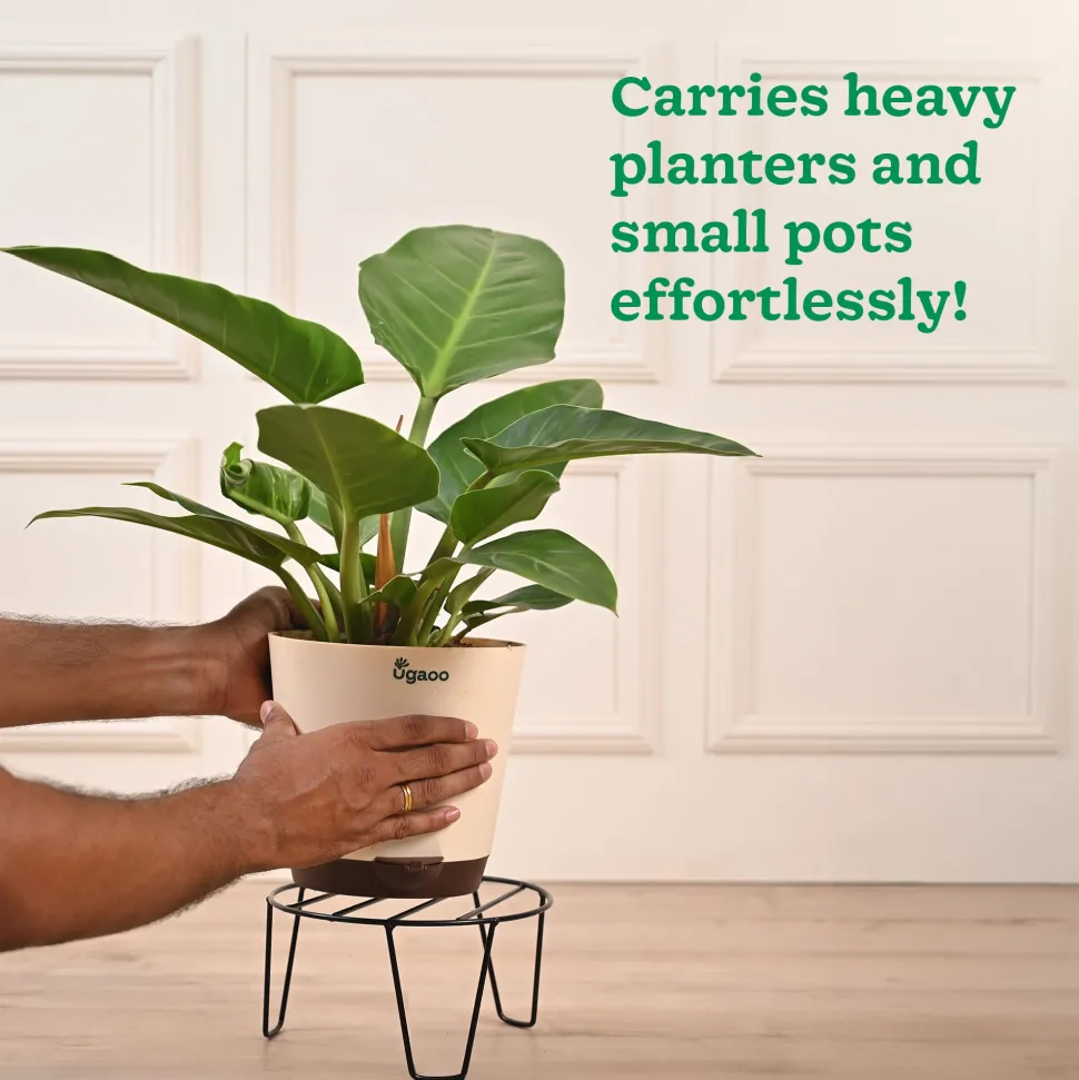 Arc Round Metal Plant Stand