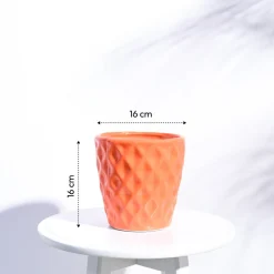 Argyle Ceramic Pot (6.2 Inch Diameter)