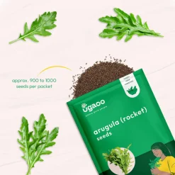 Arugula Seeds (Rocket Leaves)