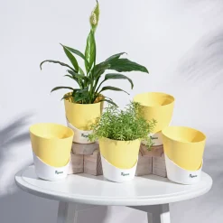 Atlantis Self Watering Planter - 4 Inch (Set of 5)