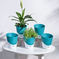 Atlantis Self Watering Planter - 4 Inch (Set of 5)