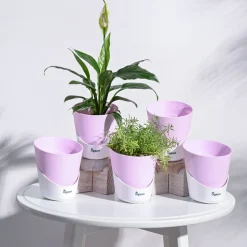 Atlantis Self Watering Planter - 4 Inch (Set of 5)