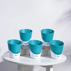 Atlantis Self Watering Planter - 4 Inch (Set of 5)