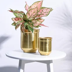 Aurelian Cylindrical Planter