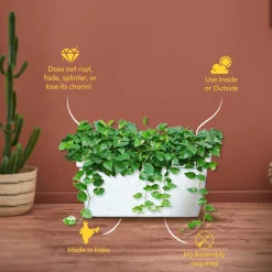 Barca Rectangle Planter
