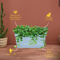 Barca Rectangle Planter