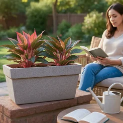 Barca Rectangle Planter