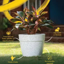Barca Round Planter