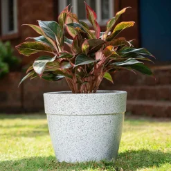 Barca Round Planter
