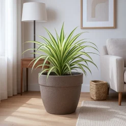 Barca Round Planter