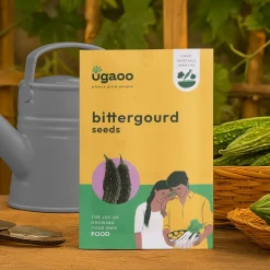 Bittergourd Seeds (Green Long)