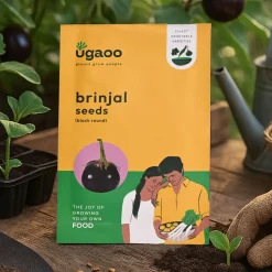 Black Brinjal Seeds (Round)