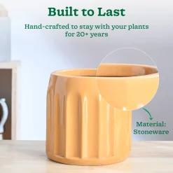 Blushing Sun Ceramic Planter