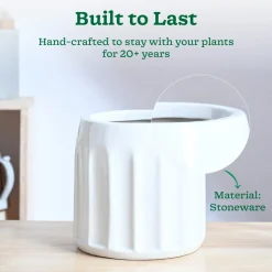 Blushing Sun Ceramic Planter