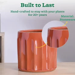 Blushing Sun Ceramic Planter