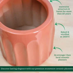 Blushing Sun Ceramic Planter
