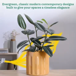 Blushing Sun Ceramic Planter