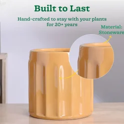 Blushing Sun Ceramic Planter