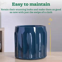 Blushing Sun Ceramic Planter