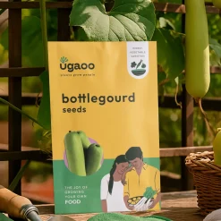 Bottlegourd Seeds (Long)