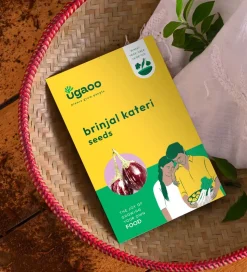Brinjal Kateri Seeds