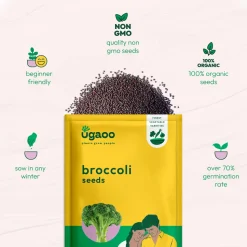 Broccoli Seeds