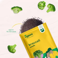 Broccoli Seeds