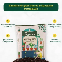 Cactus & Succulent Potting Mix - 5 kg