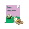 Calla Lily - Captain Nevadi Bulbs