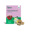 Calla Lily - Captain Redwood Bulbs
