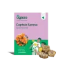 Calla Lily - Captain Serano Bulbs
