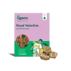 Calla Lily - Royal Valentine Bulbs