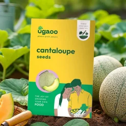 Cantaloupe Seeds (Muskmelon)
