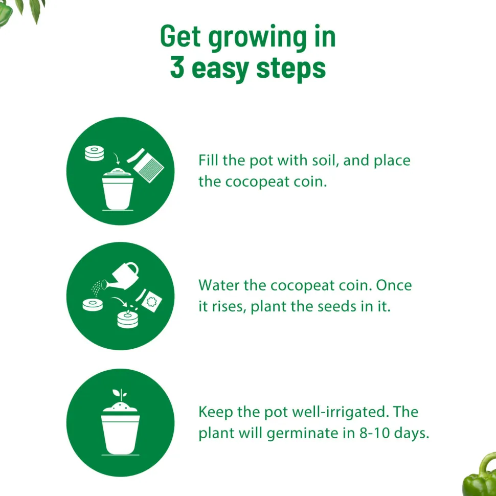 Capsicum Grow Kit