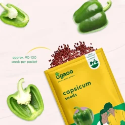 Capsicum Seeds