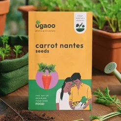 Carrot Nantes Seeds (Improved)