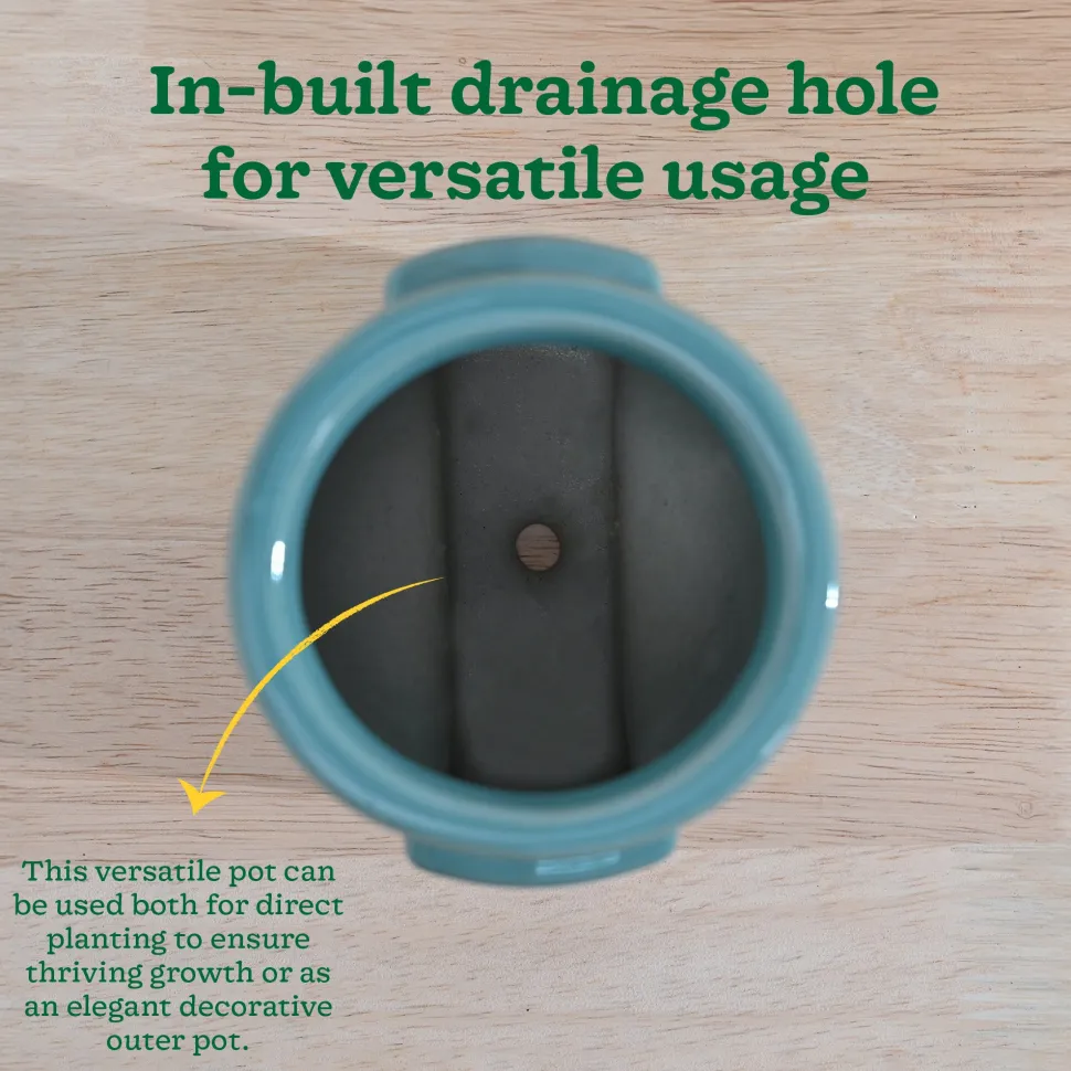 Cats are Gods Ceramic Planter