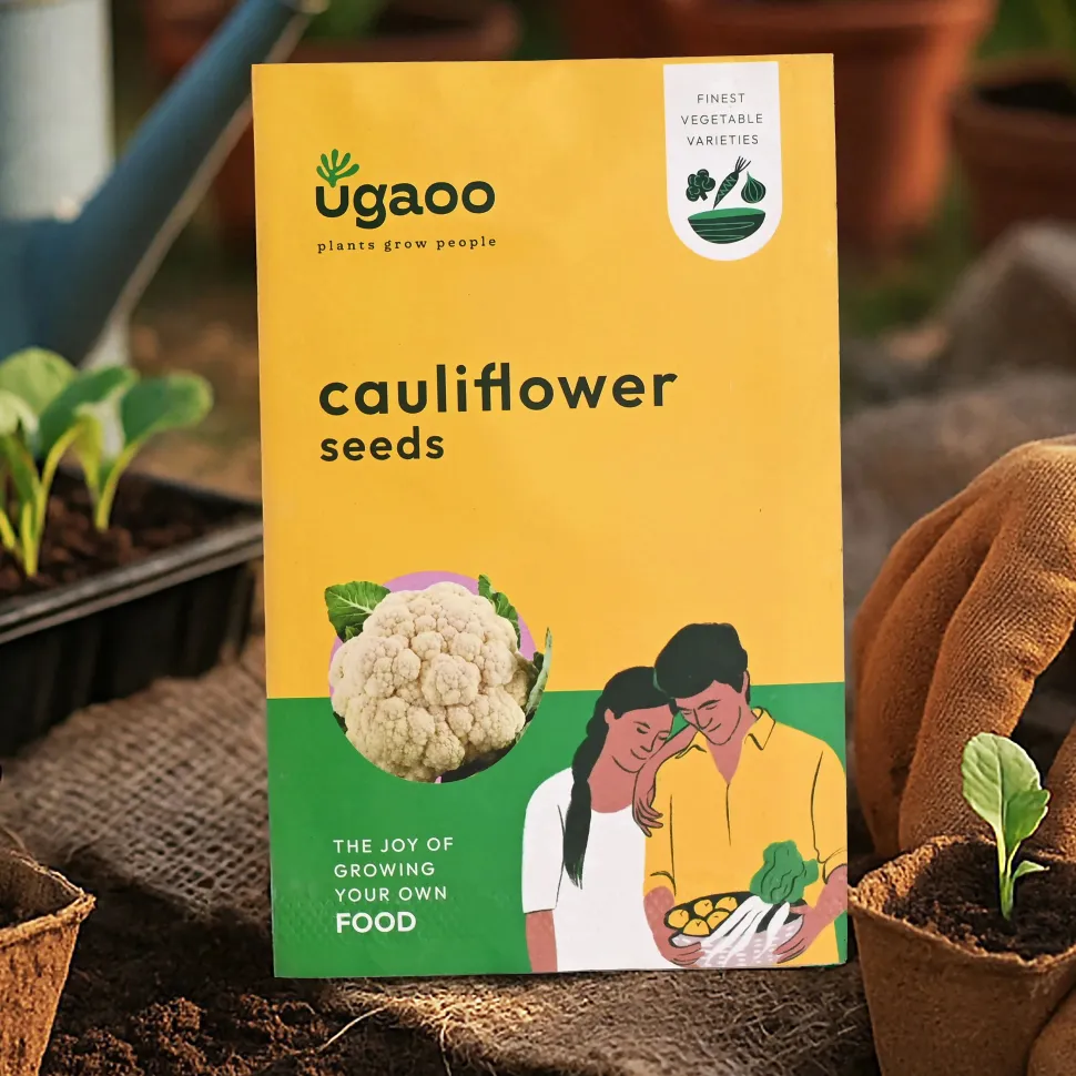Cauliflower Seeds