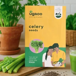 Celery Seeds